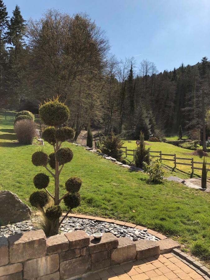 Villa Buhl De Bonheur Guebwiller Esterno foto